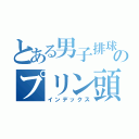 とある男子排球部のプリン頭（インデックス）