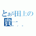 とある田上の貴一（キノコ）