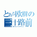 とある欧樹の三十路前（カウントダウン）