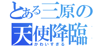 とある三原の天使降臨（かわいすぎる）