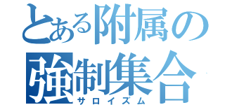 とある附属の強制集合（サロイズム）