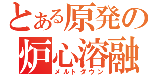 とある原発の炉心溶融（メルトダウン）