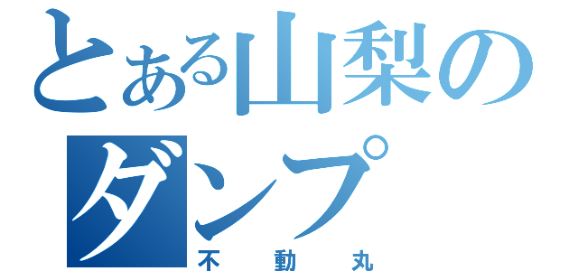 とある山梨のダンプ（不動丸）