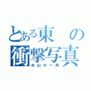 とある東の衝撃写真（氷山の一角）