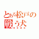 とある松戸の戦う犬（宮本達也）