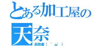 とある加工屋の天奈（未熟者（ 'ω'））