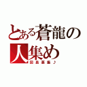 とある蒼龍の人集め（団員募集♪）