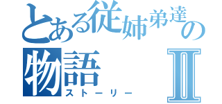 とある従姉弟達の物語Ⅱ（ストーリー）