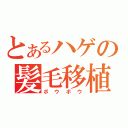 とあるハゲの髪毛移植（ボウボウ）