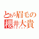 とある眉毛の櫻井大貴（マロマユゲ）