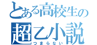 とある高校生の超乙小説（つまらない）