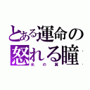 とある運命の怒れる瞳（光の翼）