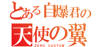 とある自爆君の天使の翼（ＺＥＲＯ ＣＵＳＴＯＷ）