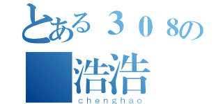 とある３０８の洨浩浩（ｃｈｅｎｇｈａｏ）