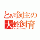 とある飼主の大蛇飼育（アミメニシキヘビ）