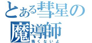 とある彗星の魔導師（怖くないよ）