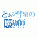 とある彗星の魔導師（怖くないよ）