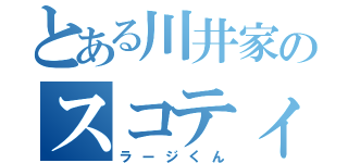 とある川井家のスコティッシュ（ラージくん）