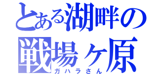 とある湖畔の戦場ヶ原（ガハラさん）