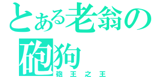 とある老翁の砲狗（砲王之王）