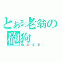 とある老翁の砲狗（砲王之王）