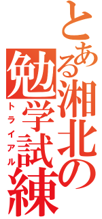 とある湘北の勉学試練（トライアル）