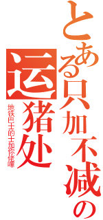 とある只加不减の运猪处（地铁巴士的士加你佬嗶）