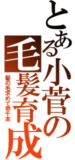 とある小菅の毛髪育成（髪の毛求めて参千本）