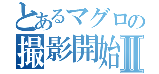 とあるマグロの撮影開始Ⅱ（）