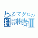 とあるマグロの撮影開始Ⅱ（）