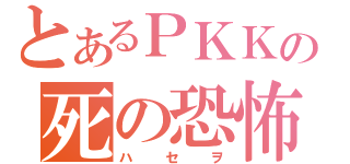 とあるＰＫＫの死の恐怖（ハセヲ）