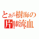 とある樹海の片膝流血（茶飯）