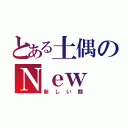 とある土偶のＮｅｗ Ｆａｃｅ（新しい顔）