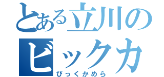 とある立川のビックカメラ（びっくかめら）