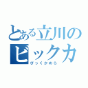 とある立川のビックカメラ（びっくかめら）