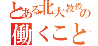 とある北大教授の働くこと（）