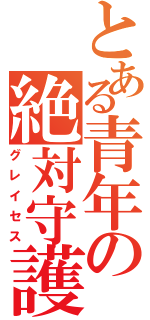 とある青年の絶対守護（グレイセス）