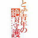 とある青年の絶対守護（グレイセス）