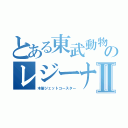 とある東武動物公園のレジーナⅡ（木製ジェットコースター）