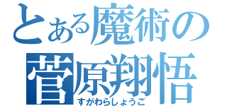 とある魔術の菅原翔悟（すがわらしょうご）