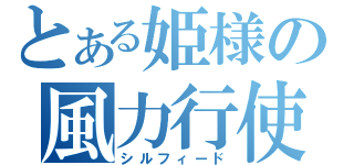 とある姫様の風力行使（シルフィード）