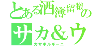 とある酒簿留犠井二のサカ＆ウェッソン（カサボルギーニ）