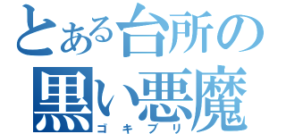 とある台所の黒い悪魔（ゴキブリ）