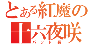 とある紅魔の十六夜咲夜（パッド長）