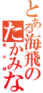 とある海飛のたかみな（俺の嫁）