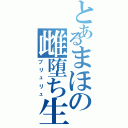 とあるまほの雌堕ち生活（ブリュリュ）