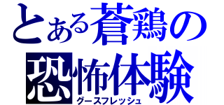 とある蒼鶏の恐怖体験（グースフレッシュ）