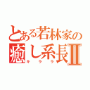 とある若林家の癒し系長女Ⅱ（キララ）