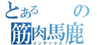 とあるの筋肉馬鹿（インデックス）