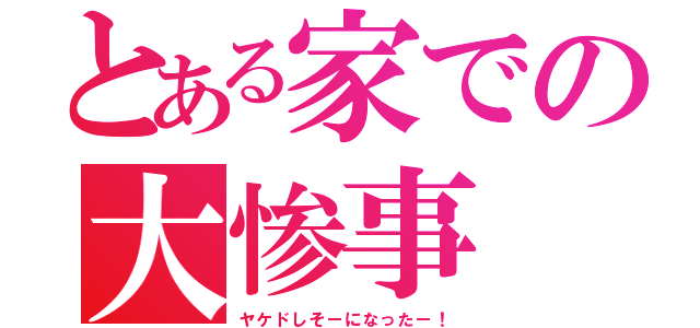 とある家での大惨事（ヤケドしそーになったー！）